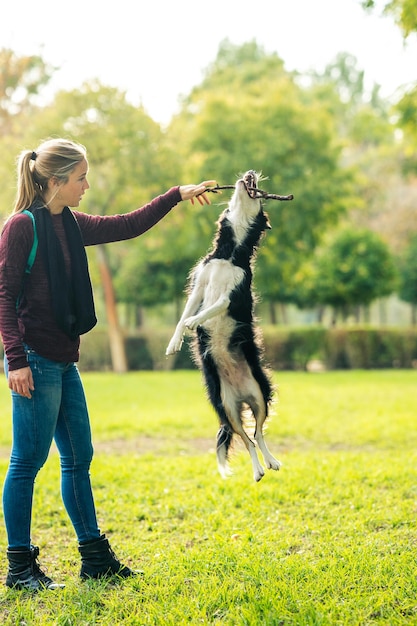 Vertical photo of a blonde woman playing with a stick and a dog tat is jumping in a park