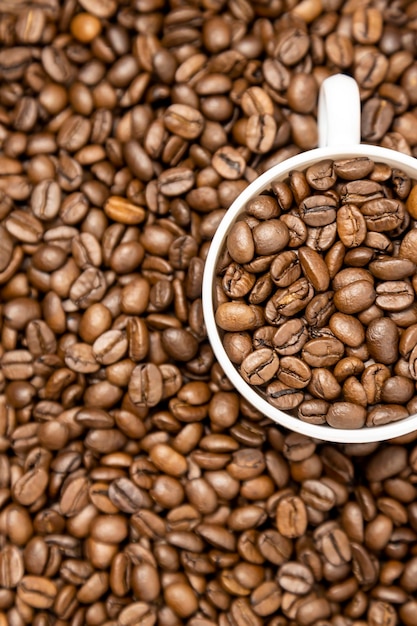 커피 콩이 가득한 커피 한 잔의 세로 사진 흰색 컵과 볶은 커피 콩의 상위 뷰