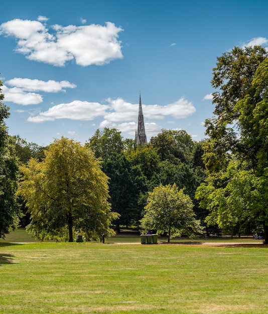 사진 화창한 날에 백그라운드에서 떠오르는 교회의 끝으로 잔디와 나무가있는 도시 공원의 세로 사진
