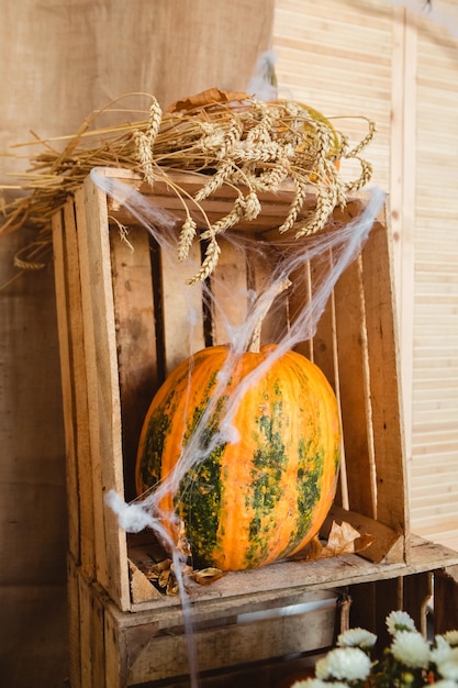 Vertical photo orange pumpkins with fall leaves with artificial cobweb