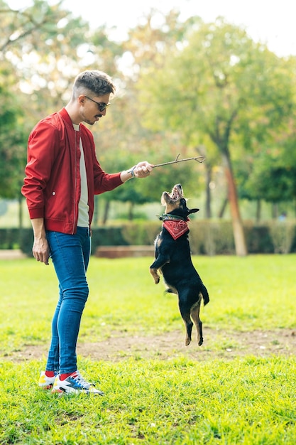 Vertical photo of a small dog jumping to catch a stick that holds a man in park