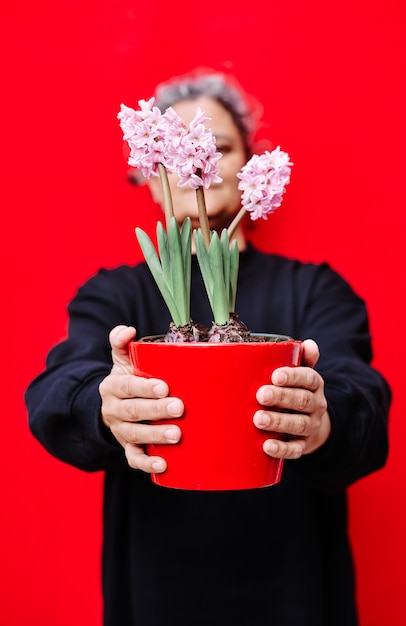 Vertical photo of the Woman dressed in black holds a red flowerpot with pink hyacinths on a red wall