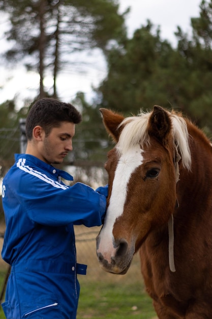 Vertical portrait of a farmer grooming and caring for his horse on his farm