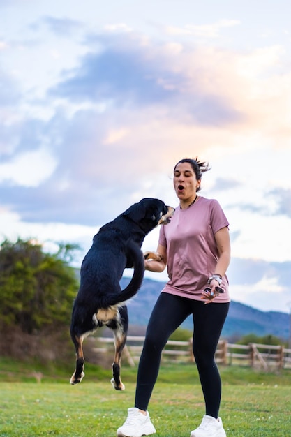 vertical portrait of a happy girl playing with her dog in the field The dog is jumping