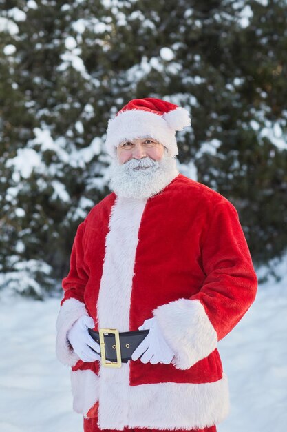 Vertical portrait of traditional santa claus looking at camera in winter forest