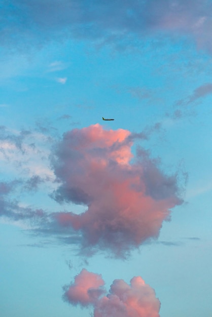 Ripresa verticale di un aeroplano con il cielo nuvoloso del tramonto sullo sfondo