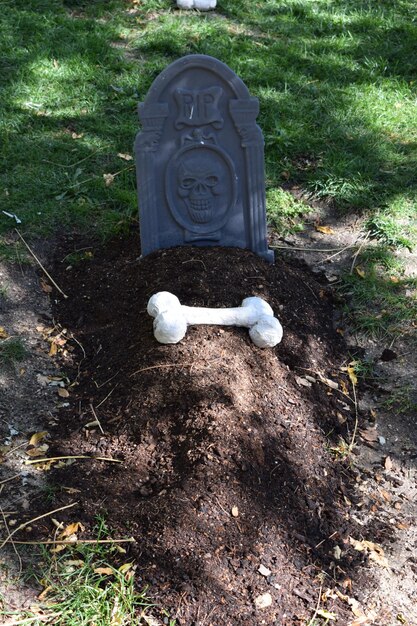 Foto una ripresa verticale di un cimitero per cani in un parco