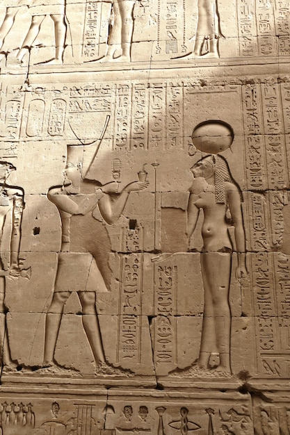 A vertical shot of Egyptian gods and hieroglyphics carved on the wall