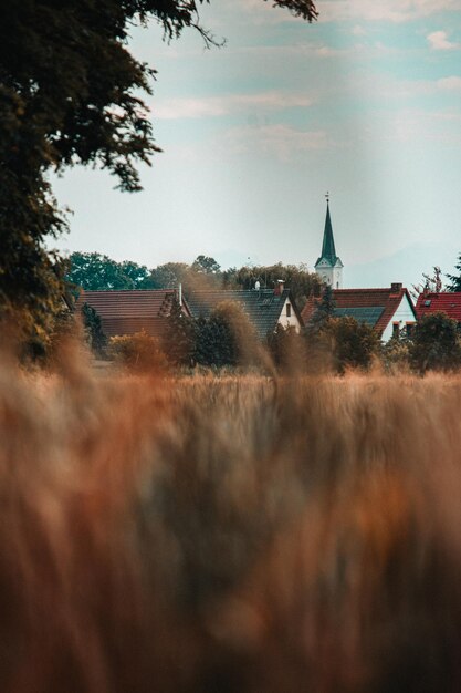 Vertical shot of a field of grass with a church in the background