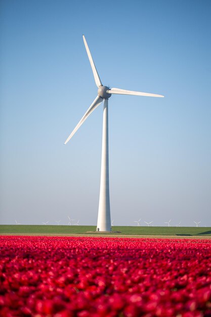 Photo vertical shot of a field of red tulip flowers with a wind turbine