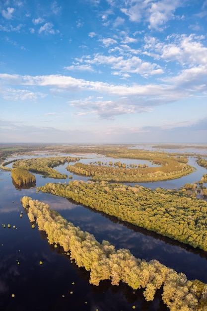 Vertical shot of flooded river in Spring