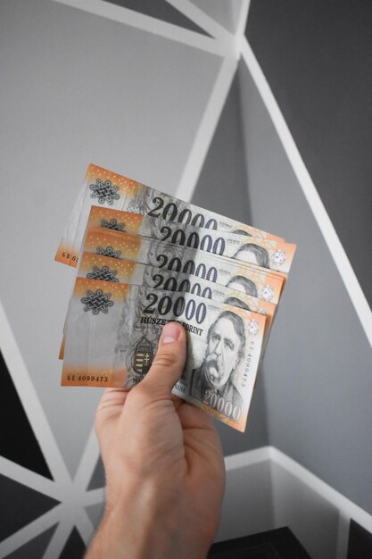 Vertical shot of a hand holding Hungarian 20000 forint bills against the gray wall