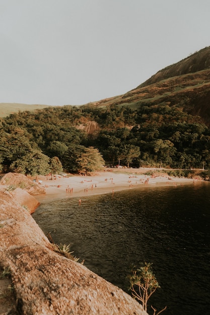 Vertical shot of a lake in a forest