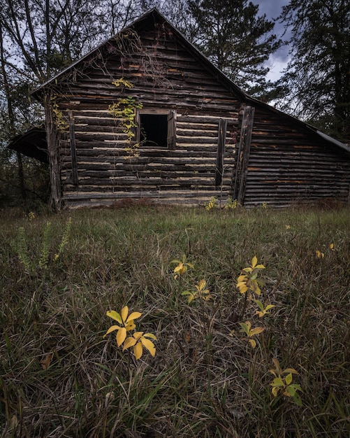 Vertical shot of an old wooden barn in a forest in North Carolina