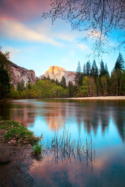 Vertical shot of a peaceful lake surrounded with green trees captured at sunset in spring