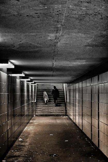 Vertical shot of a person and a dog climbing the stairs leading\
outside the underground tunnel