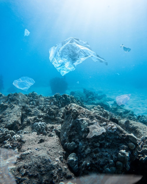 Vertical shot of the plastic bags in the depths of the ocean - water pollution