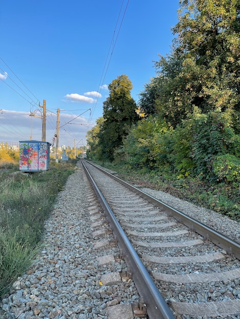 緑の木々や茂みを通過する鉄道の垂直ショット