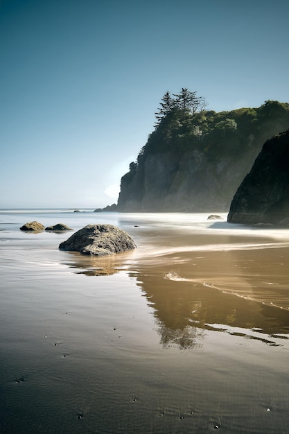 Vertical shot of the ruby beach at the Olympic national park USA