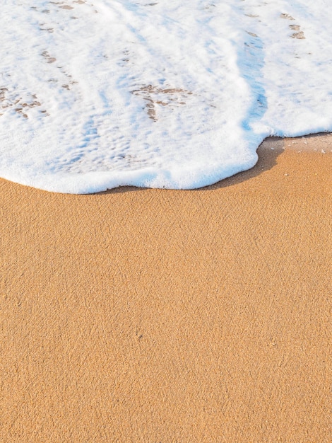 Vertical shot sea foam wave on a sandy beach copy space