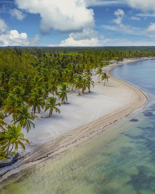 Vertical shot of the sea surrounded by a beach and palm trees under a blue cloudy sky