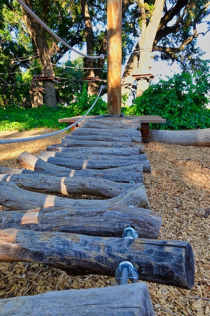 Вертикальный снимок бревен деревьев с веревками для занятий спортом в парке в солнечный день