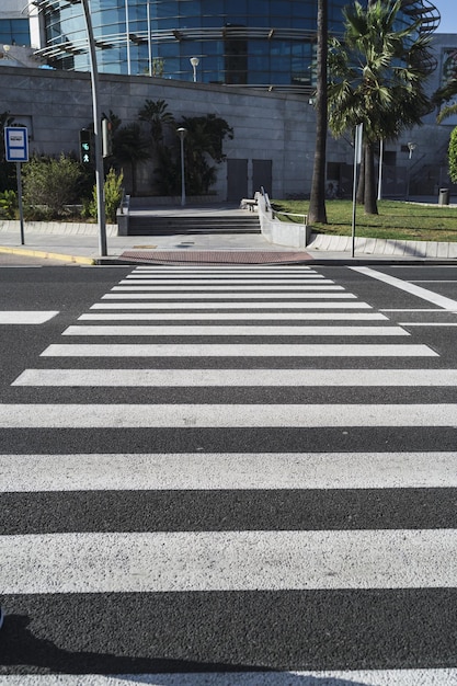 Foto fotografia verticale di una zebra che attraversa un giorno di sole all'aperto