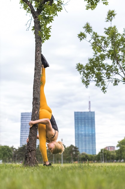 Photo vertical split leaning on a tree with head down