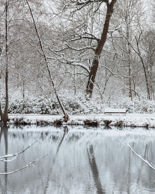 겨울에 눈으로  ⁇ 인 공원의 조용한 연못의 수직