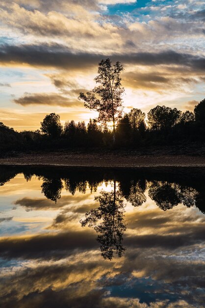 Photo vertical of a tree silhouetted against a sunset by a tranquil lake