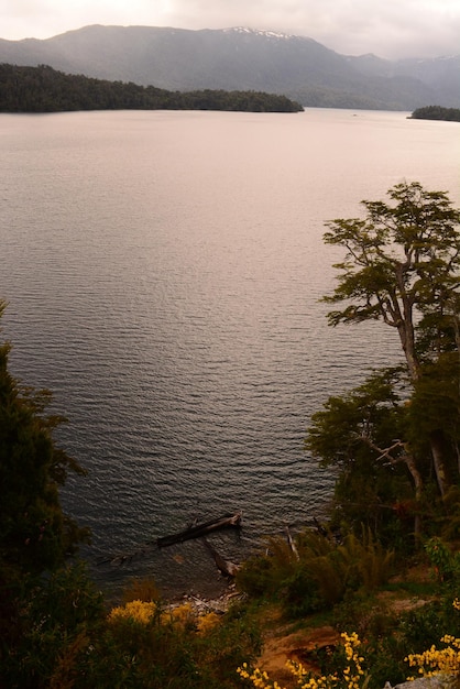 vertical view of a lake on the path of the 7 lakes of Argentine Patagonia