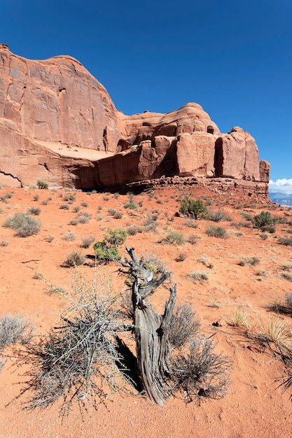 Vista verticale delle rocce rosse nel parco nazionale di arches, utah