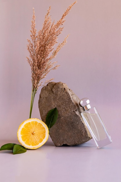 A vertical view of a transparent bottle of women's perfume leaned against a gray stone beige background citrus natural perfume fragrance