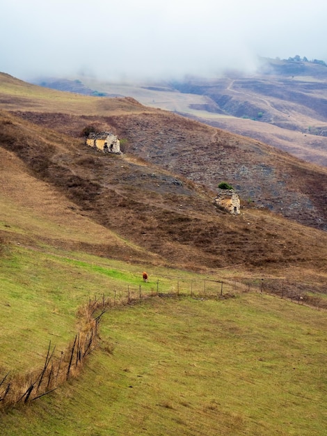 色あせた牧草地と遠くに伸びる木製のフェンスの背景の丘の高い森の山々 の農業農地と枯れた秋の風景の垂直方向のビュー