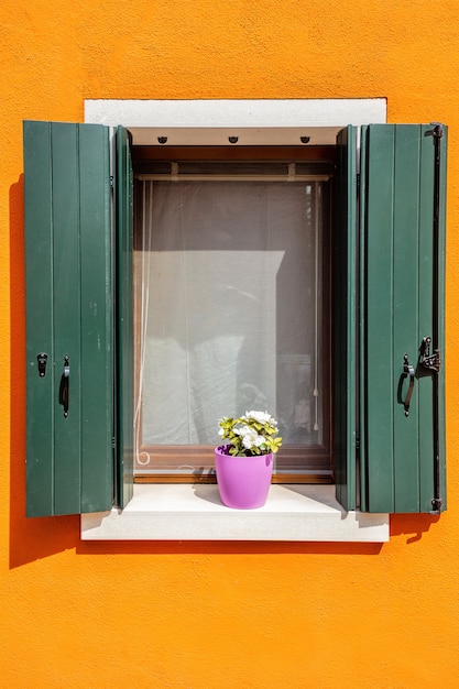 Vertical window with flower