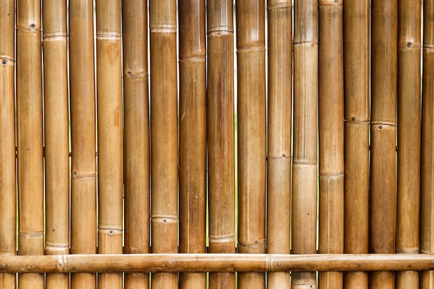 Vertical yellow bamboo fence