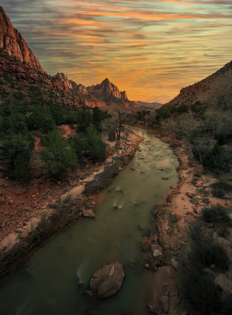 Vertical of Zion National Park with river flow in sunset