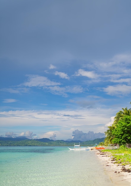 Verticale foto van een panoramische achtergrond van een kleurrijk tropisch strand met een blauwe hemel, palmbomen en boten met felle kleuren kopiëren ruimte