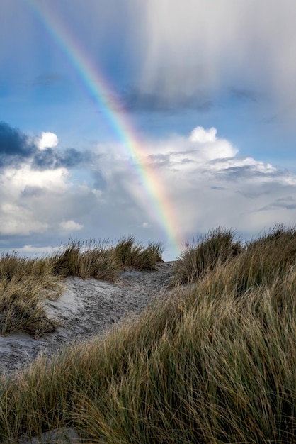 Verticale opname van een prachtige regenboog boven de oceaan en het met gras bedekte strand