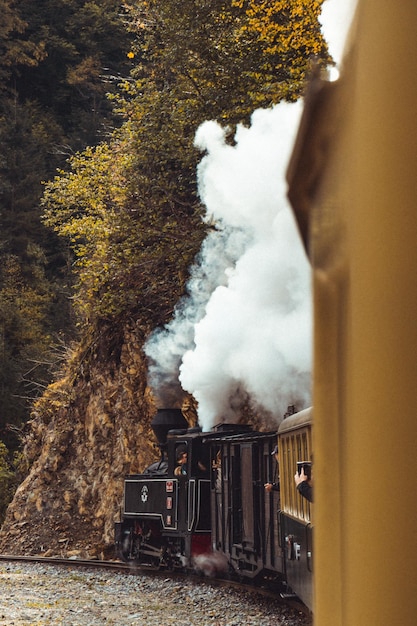 Verticale opname van een stoomtrein op de achtergrond van dichte bomen in de herfst