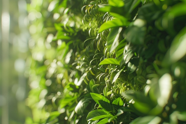 Verticale tuinmuur voor een vleugje natuur binnen