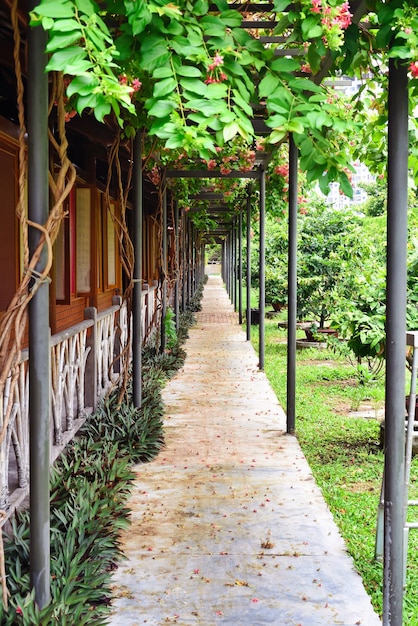 Verticale weg op achtertuin in de tuin van vietnam zonder mensen