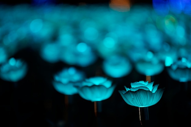 Vervaag lotusbloem zoals LED-lichtsonde met bubbelvervagingsachtergrond