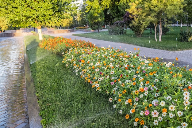 Vervaging van water in beweging van een sproeier in de tuin tegen de achtergrond van bloemen Wazige actie van bloemen water geven