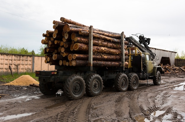 Vervoer van hout op een vrachtwagen. Industriële vrachtwagen voor het vervoer van hout. Hernieuwbare natuurlijke hulpbronnen. hout machine. Hout export en verzending concept. . Hoge kwaliteit foto