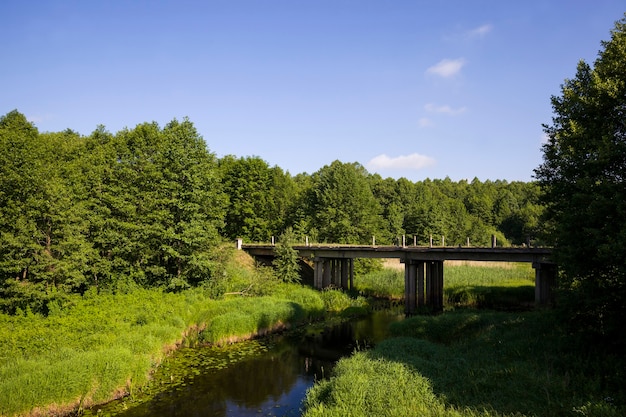 Vervuild water in een meer of rivier in de zomer of lente seizoen dieren in het wild