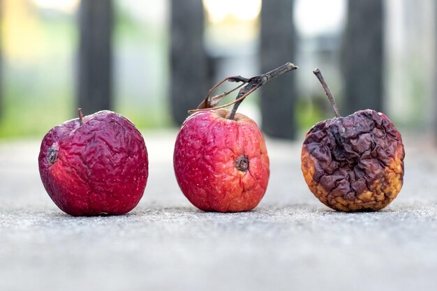 Verwelkte en rotte appels op het asfalt