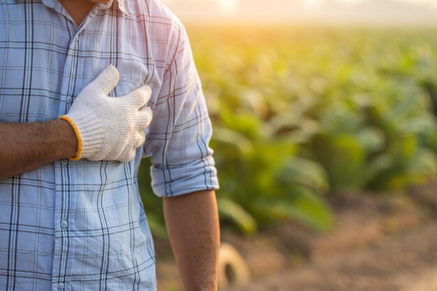 Verwondingen of ziektes die boeren kunnen overkomen tijdens het werk De mens gebruikt zijn hand om de linkerborst te bedekken vanwege pijn of een ziek gevoel