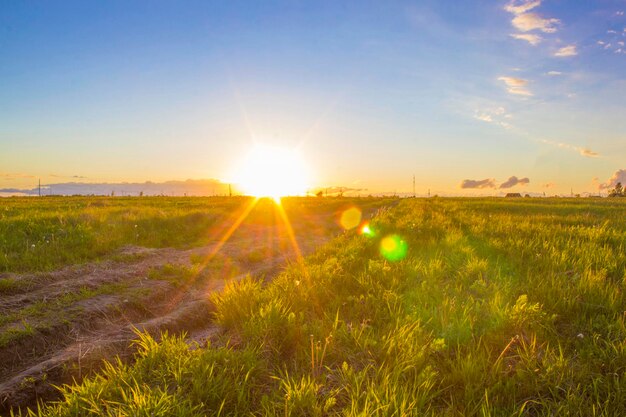 夕日のとても美しい田園風景