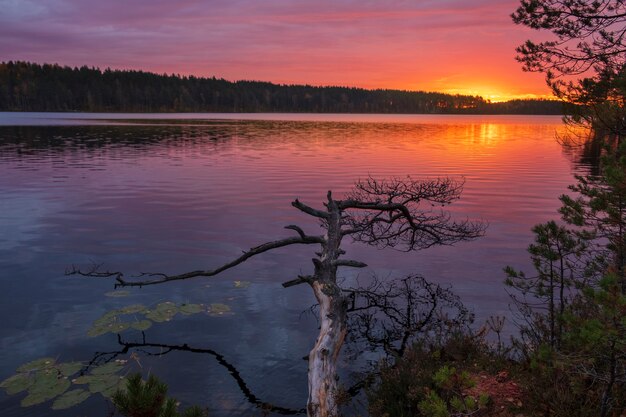 A very colorful sunrise on the northern lake. Autumnal nature in Karelia to Russia